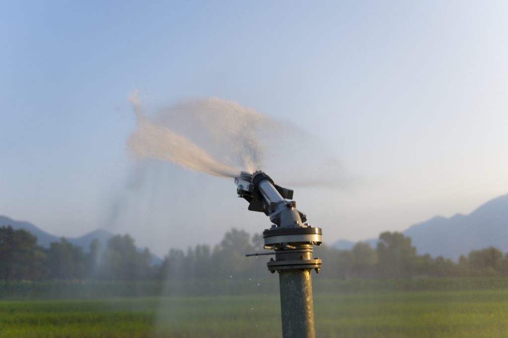 Solar Water Pump: A Smart & Sustainable Water Pumping Solution